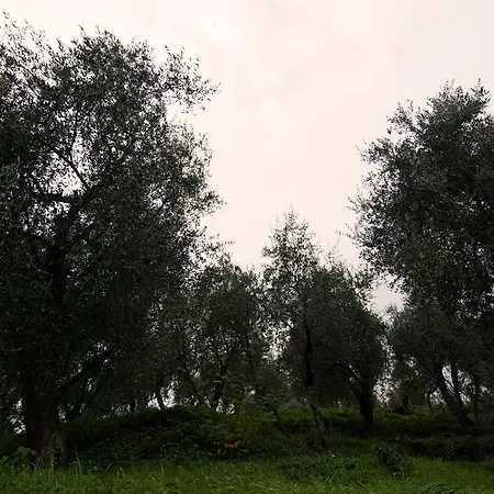 Holiday Porta Alla Fonte Holiday home *