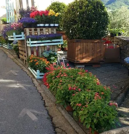 Holiday home Holiday Porta Alla Fonte Massa e Cozzile